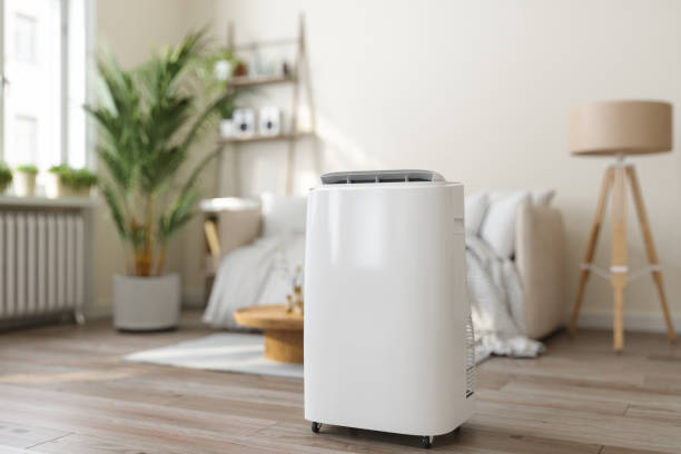 Best Ductless Mini-Split Systems in Lake Park, GA